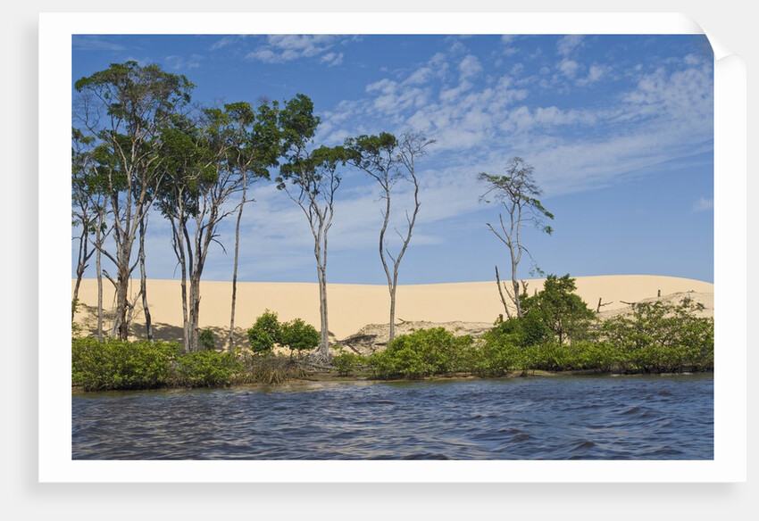 Preguicas River at Lencois Maranheinses National Park, Brazil by Anonymous