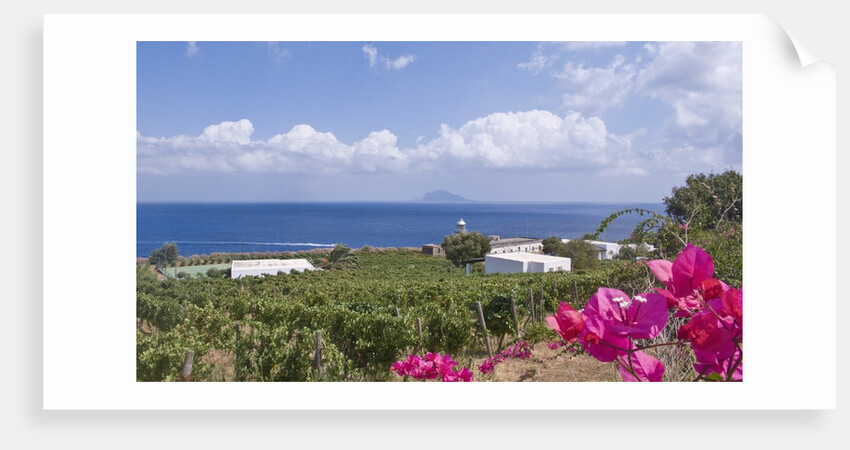 View of Capo Faro, Sicily, Italy by Anonymous