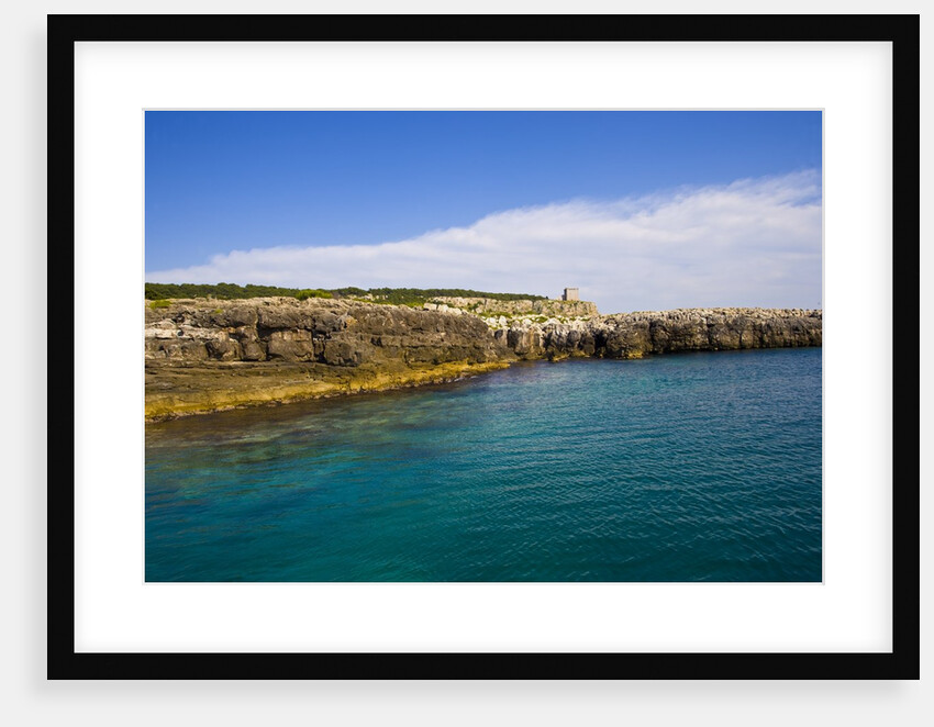 Sea coast, Parco Naturale di porto Selvaggio, Nardo, Italy by Anonymous