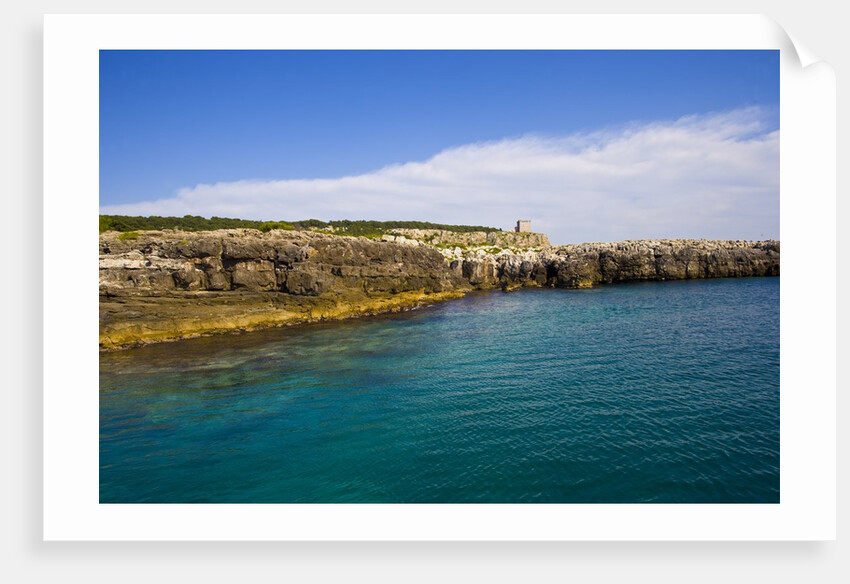 Sea coast, Parco Naturale di porto Selvaggio, Nardo, Italy by Anonymous