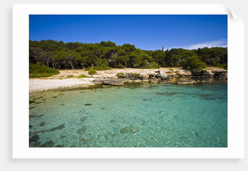 Sea coast, Parco Naturale di porto Selvaggio, Nardo, Italy by Anonymous