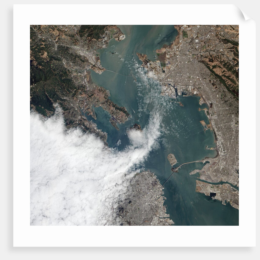 Satellite View of a Foggy Day in San Francisco by Anonymous