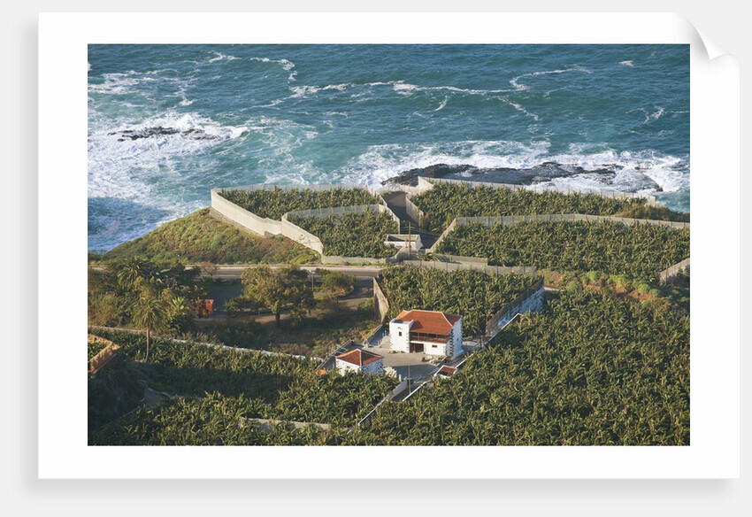 Lookout over Garachico coastline, Tenerife, Canary Islands, Spain by Anonymous
