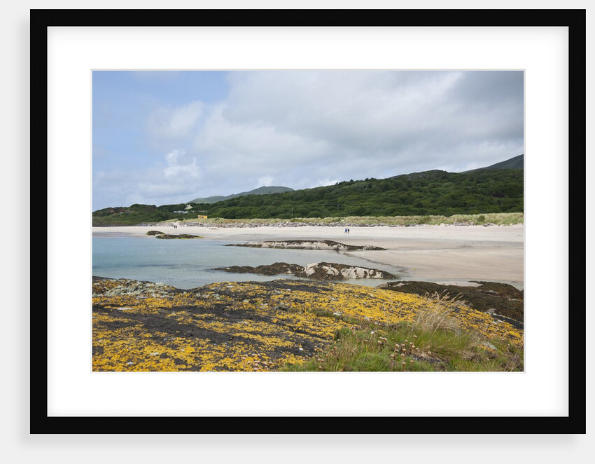 Sea coast, Derrynane National Historic Park, Ring of Kerry, Kerry County, Ireland by Anonymous