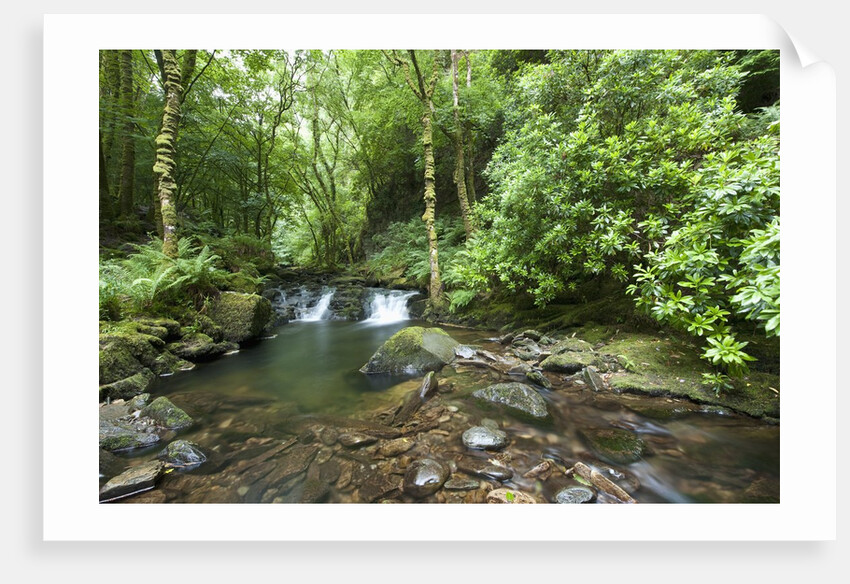 Torc Waterfall, Killarney National Park, Kerry County, Ireland by Anonymous