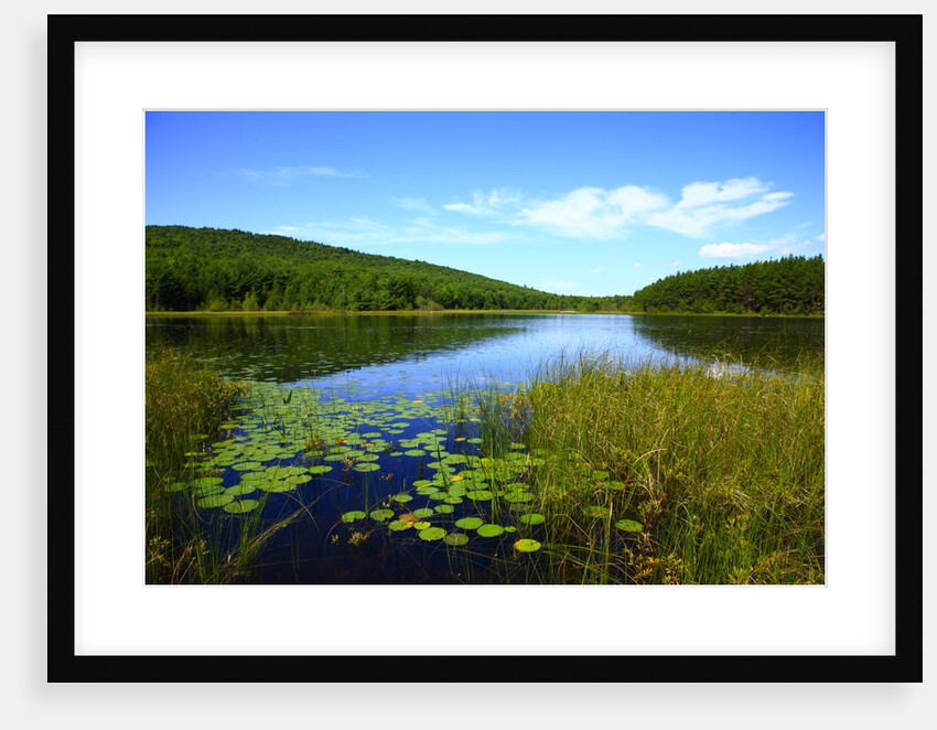 View of lake, cadia National Park, Maine, USA by Anonymous