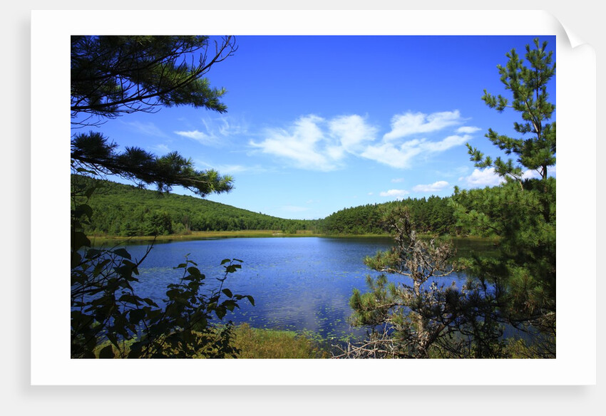 View of lake, cadia National Park, Maine, USA by Anonymous