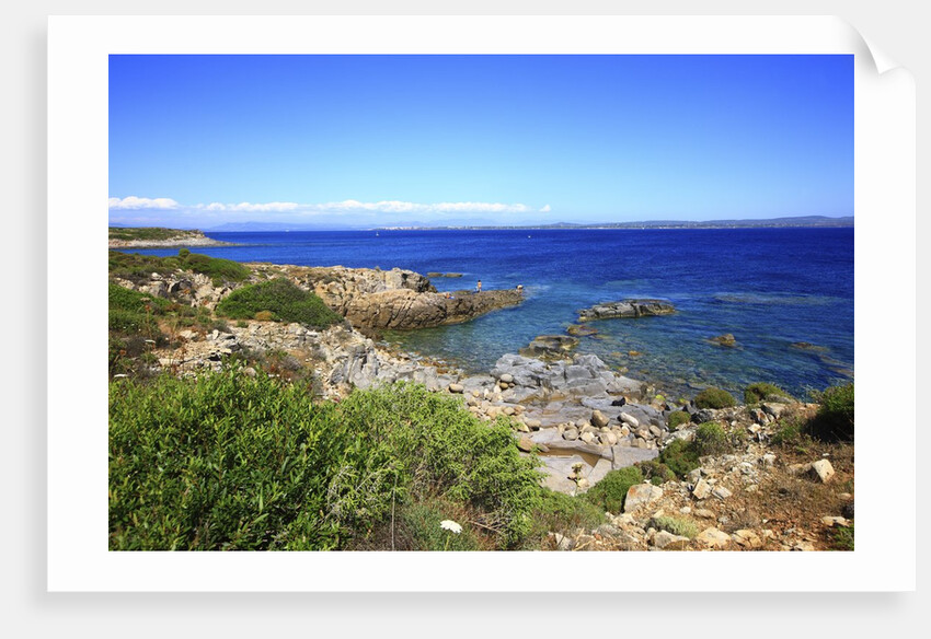 Rocky coastline, San Pietro island, Carloforte, Sardinia, Italy by Anonymous