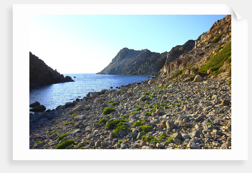 Rocky beach and sea, San Pietro island, Carloforte, Sardinia, Italy by Anonymous