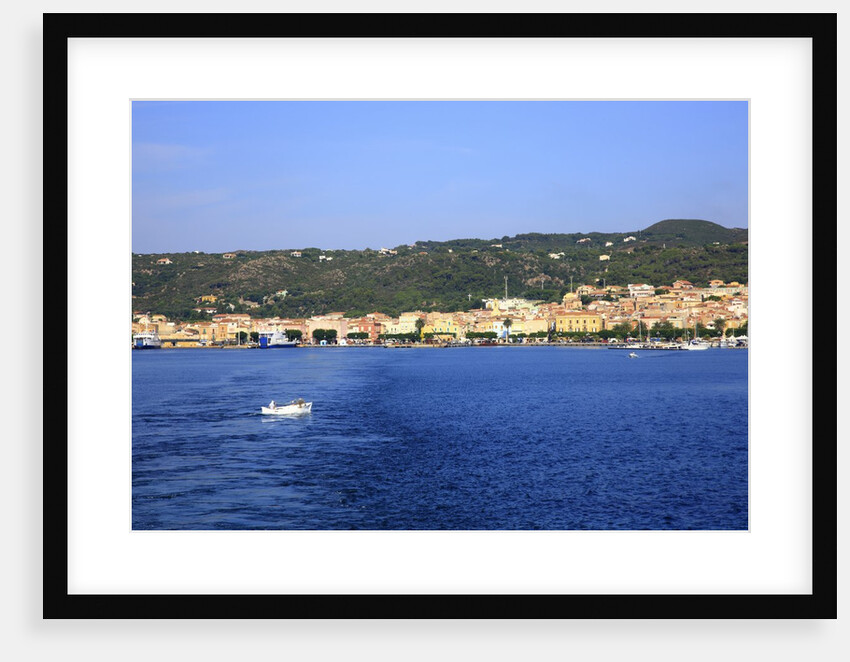 View of town on coast, Carloforte, San Pietro island, Sardinia, Italy by Anonymous