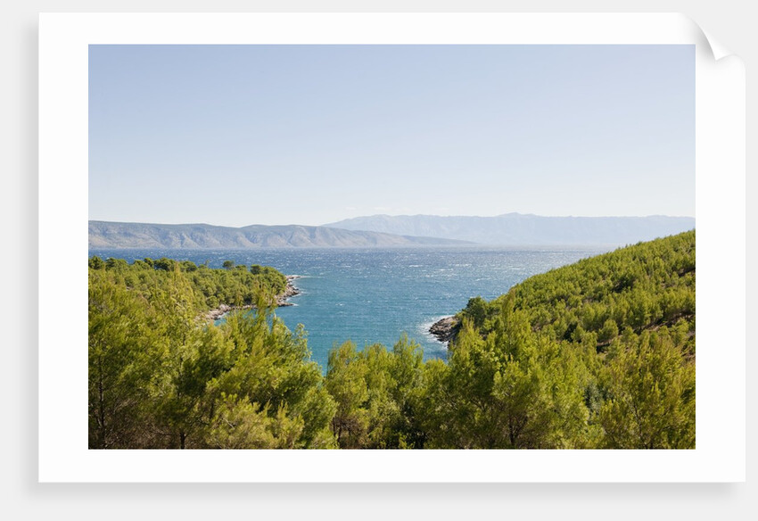 Lush foliage of island, Vrboska, Hvar Island, Croatia by Anonymous