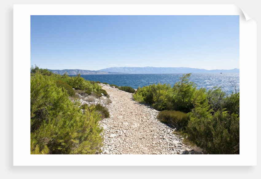 Footpath by sea, near Vrboska, Hvar Island, Croatia by Anonymous