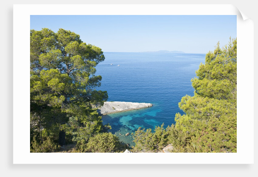 Zarace bay, Hvar Island, Croatia by Anonymous