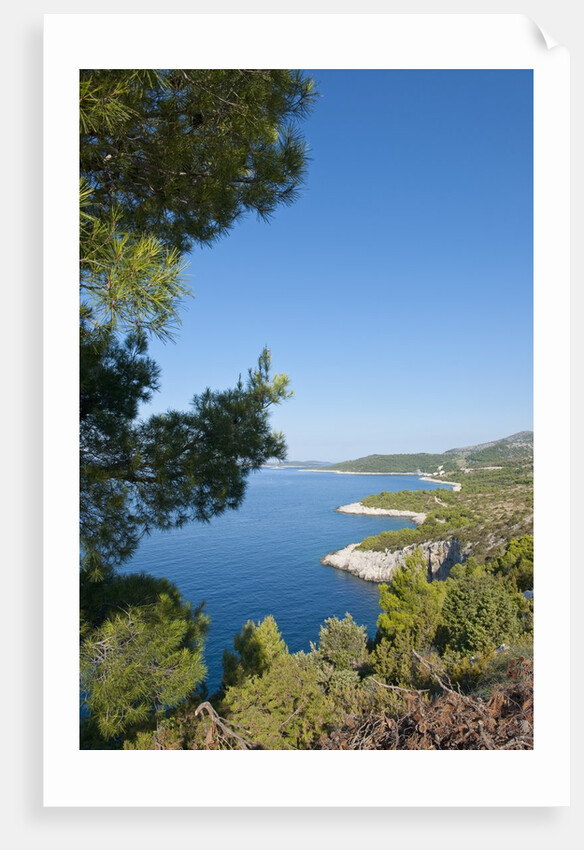 View of Zarace bay, Hvar Island, Croatia by Anonymous