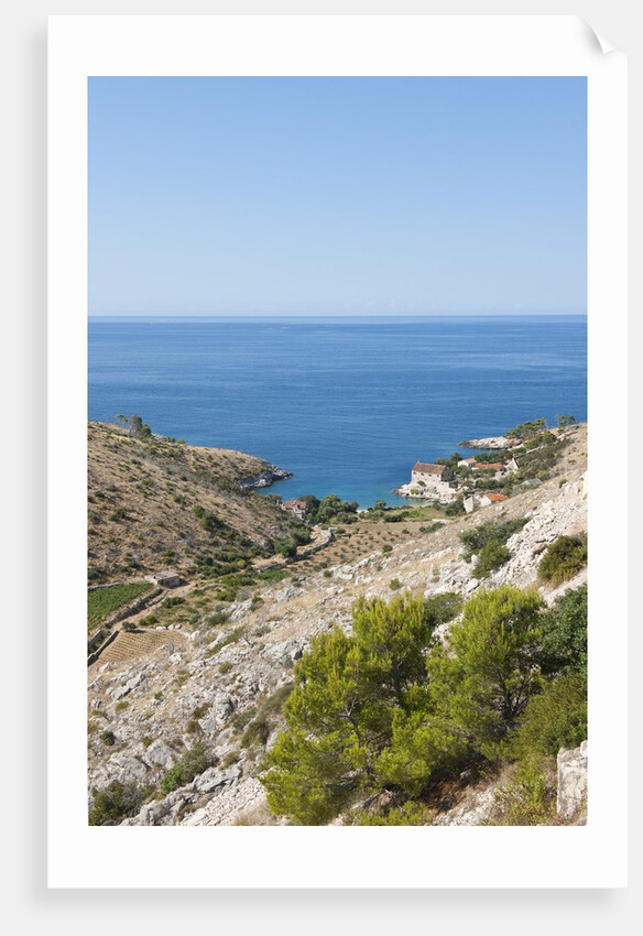 View of Dobovica Bay, Hvar Island, Croatia by Anonymous