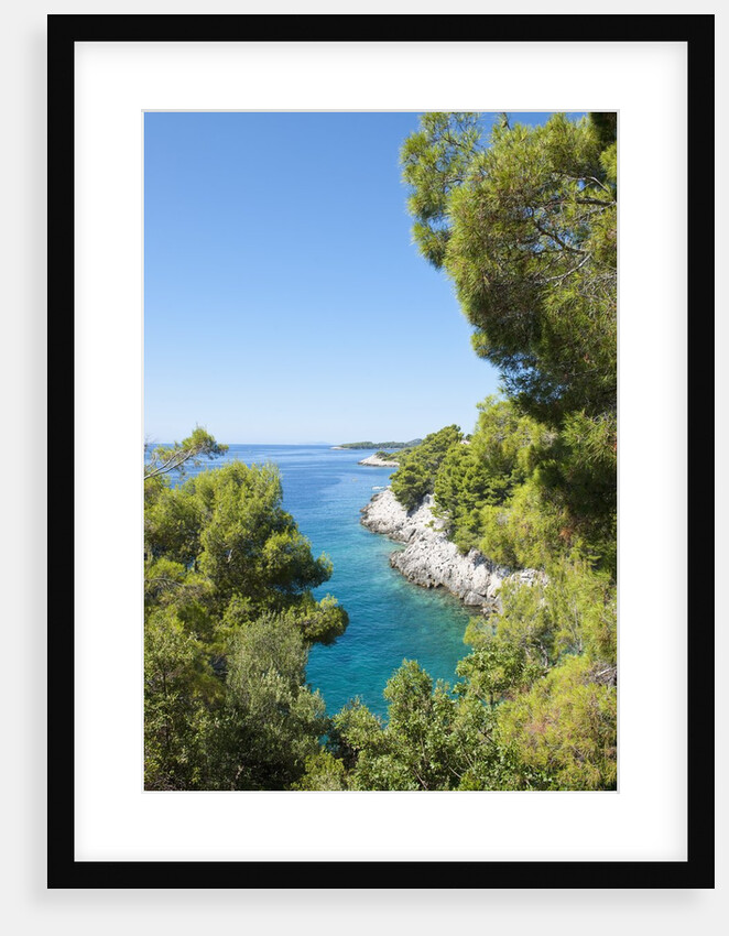 Coastline, Korcula island, Croatia by Anonymous