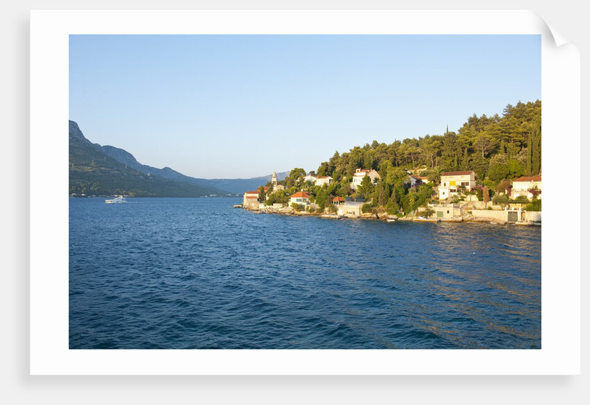 Strecica bay, Korcula, Croatia by Anonymous