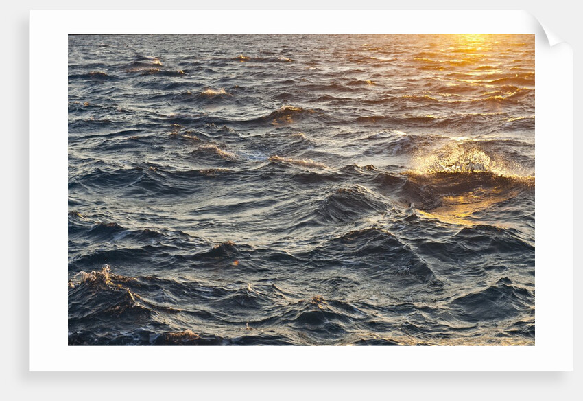 Sea at sunset, Korcula island, Croatia by Anonymous