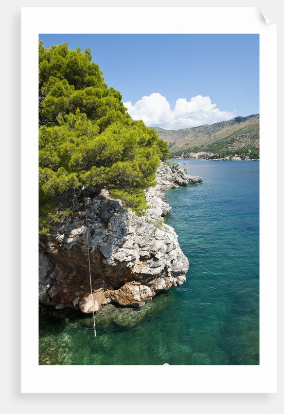 Beach near Zaton, Dubrovnik, Croatia by Anonymous