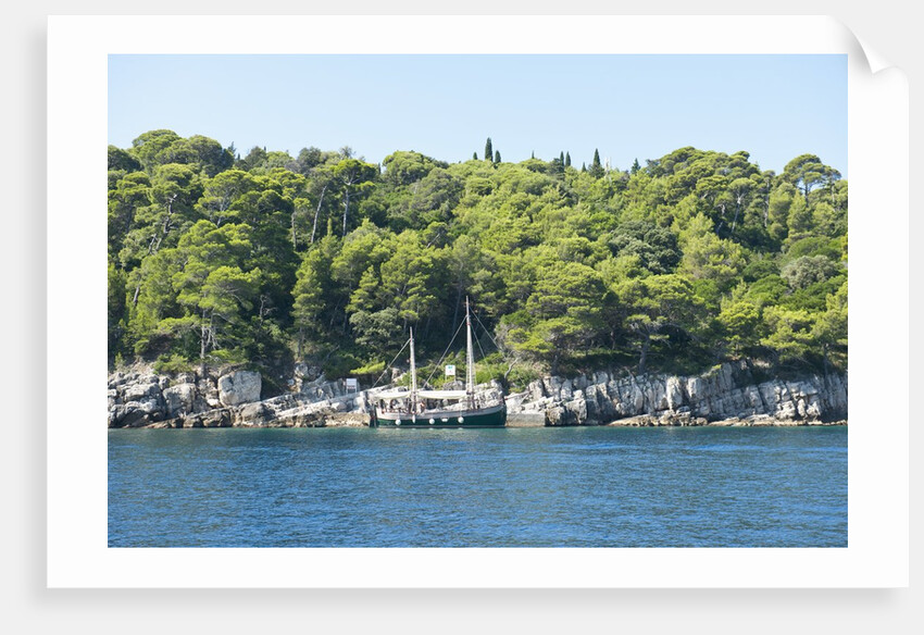 Coastline, Lokrum Island, Dubrovnik, Croatia by Anonymous