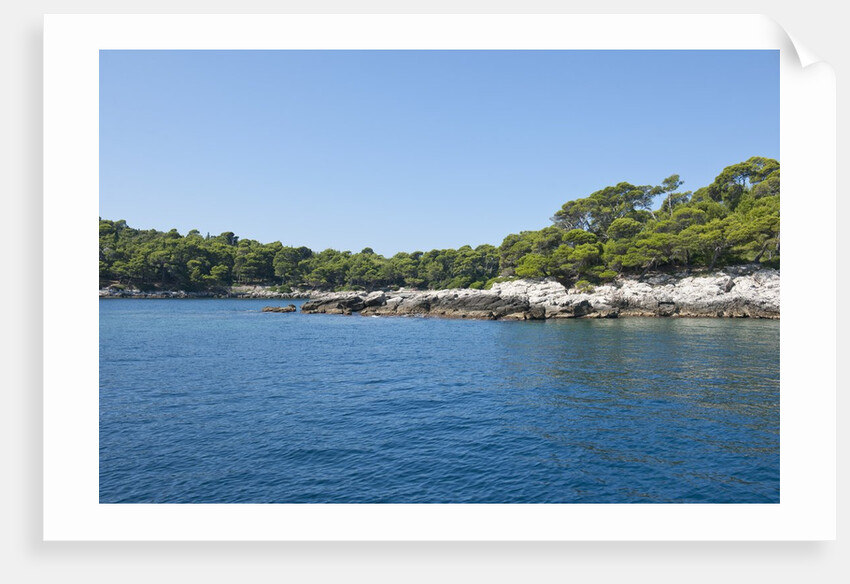 Coastline, Lokrum Island, Dubrovnik, Croatia by Anonymous
