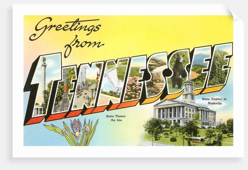 Greetings from Tennessee by Anonymous