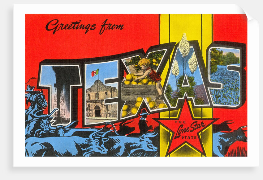Greetings from Texas, the Lone Star State by Anonymous