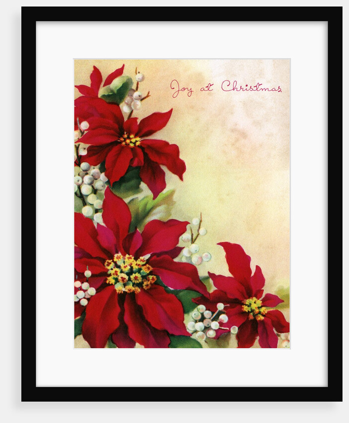Vintage Illustration of Christmas Poinsettia and Mistletoe by Anonymous