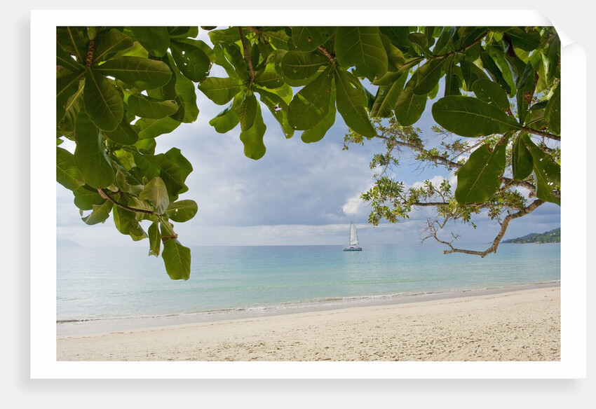 Beach at Bel Ombre, Baie Beau Vallon, Mahe, Seychelles, Indian Ocean islands by Anonymous