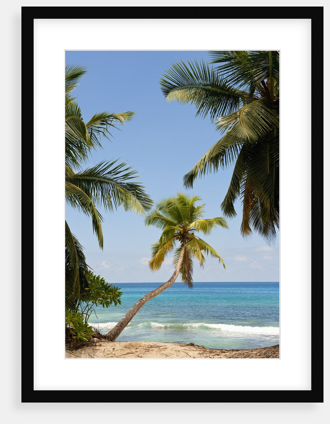 Takamaka beach, Seychelles, Indian Ocean islands by Anonymous