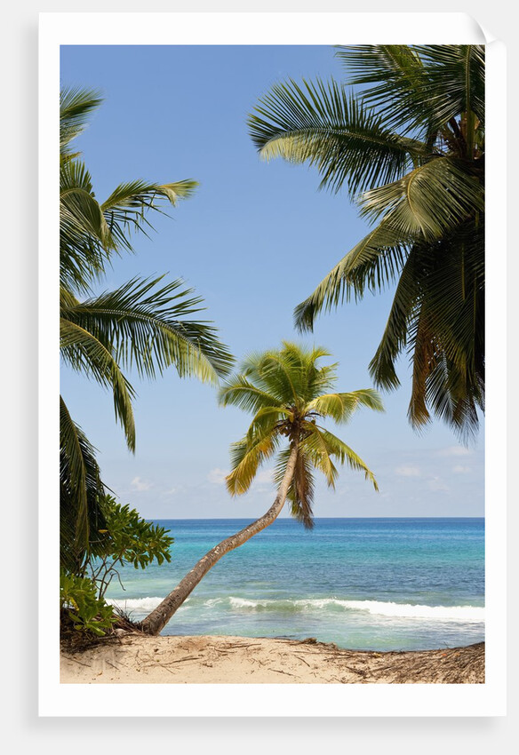 Takamaka beach, Seychelles, Indian Ocean islands by Anonymous