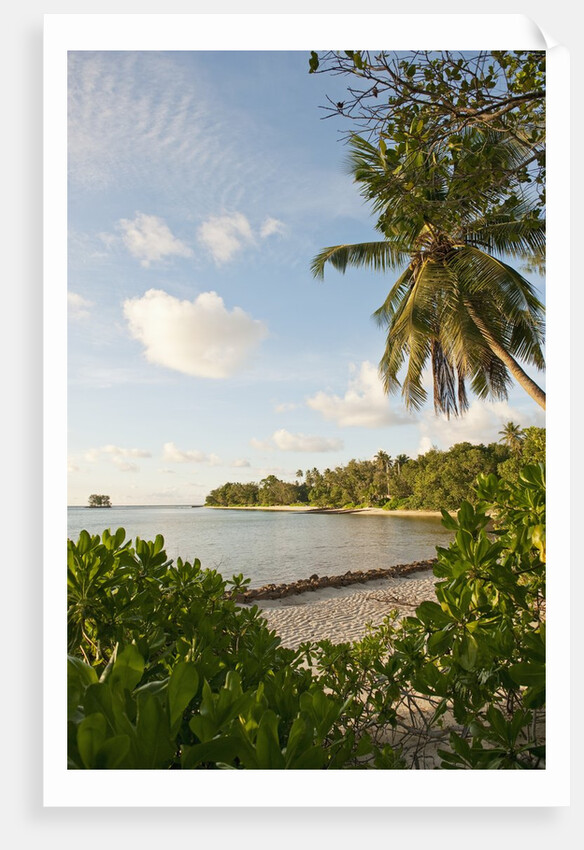 Source d'Argent Beach, La Digue, Seychelles, Indian Ocean Islands by Anonymous