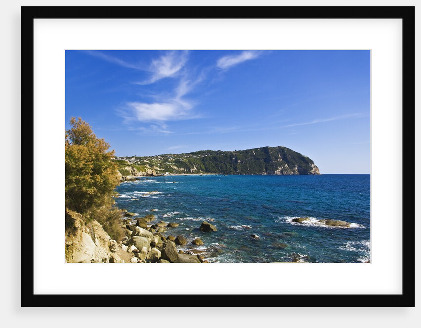 Coastline, Forio, Campania, Italy by Anonymous