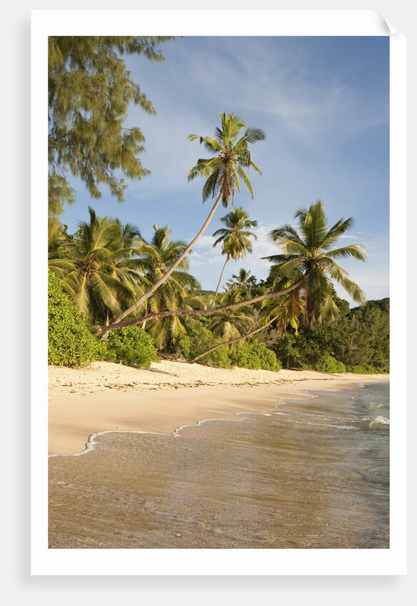 View of Takamaka Beach, Mahe, Seychelles by Anonymous