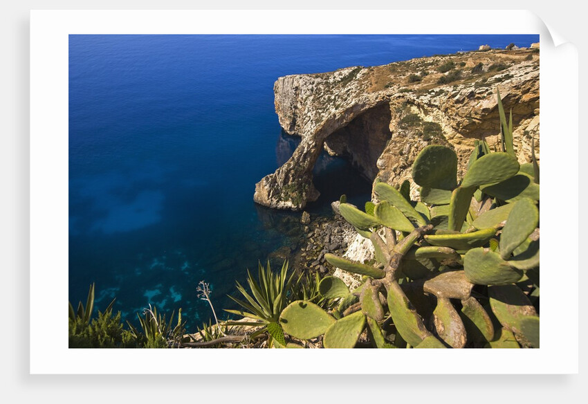 View of Blue Grotto, Malta by Anonymous