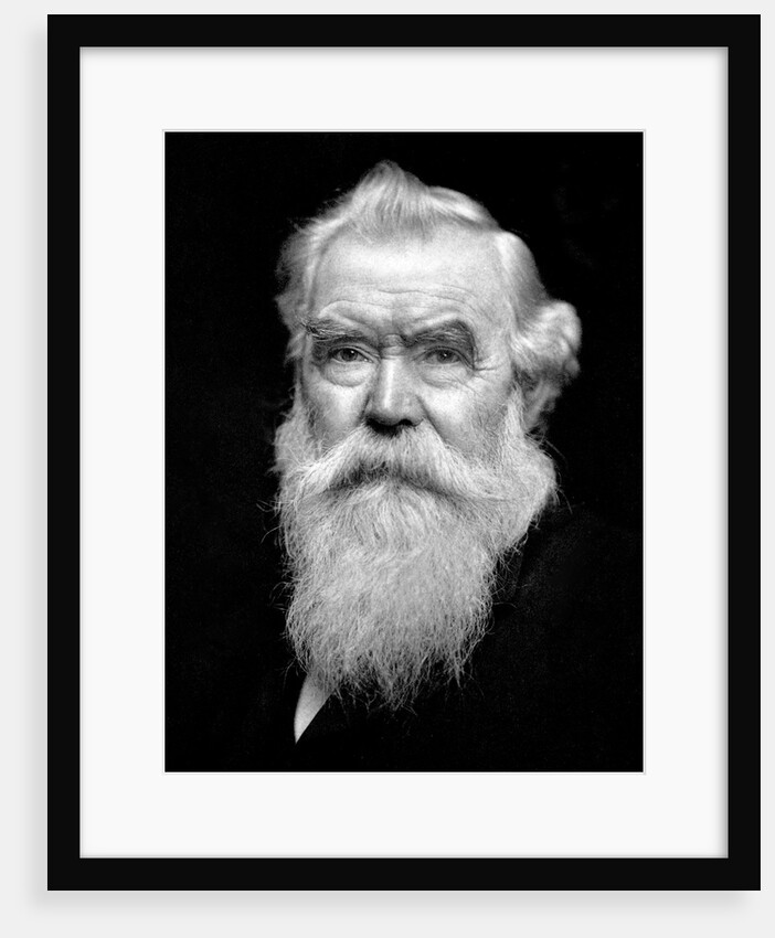 Senior man portrait, ca. 1910 by Anonymous
