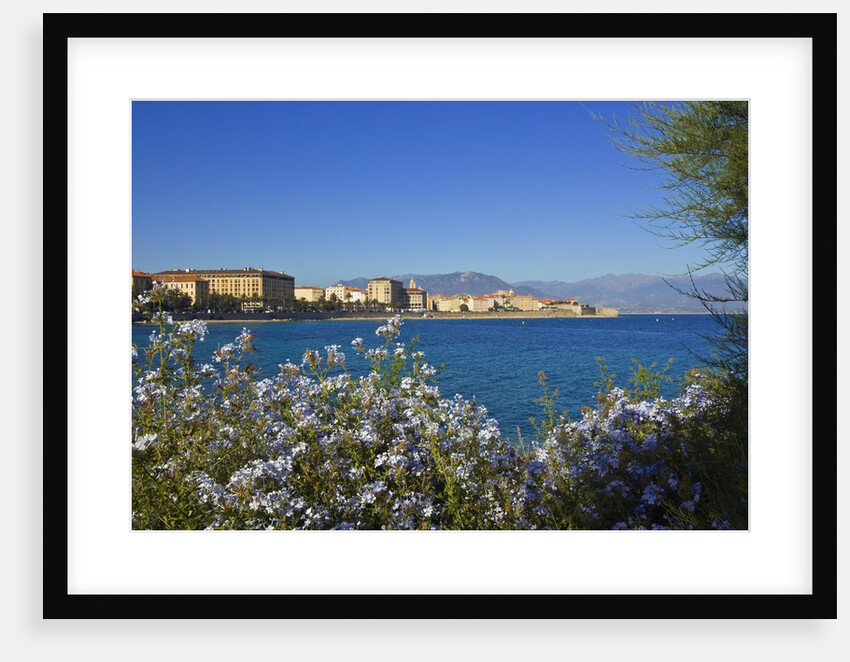 View of town from Lantivy seaside, Ajaccio, Corsica, France by Anonymous
