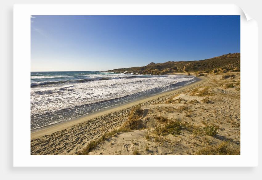 View of Ostriconi beach, Corsica, France by Anonymous