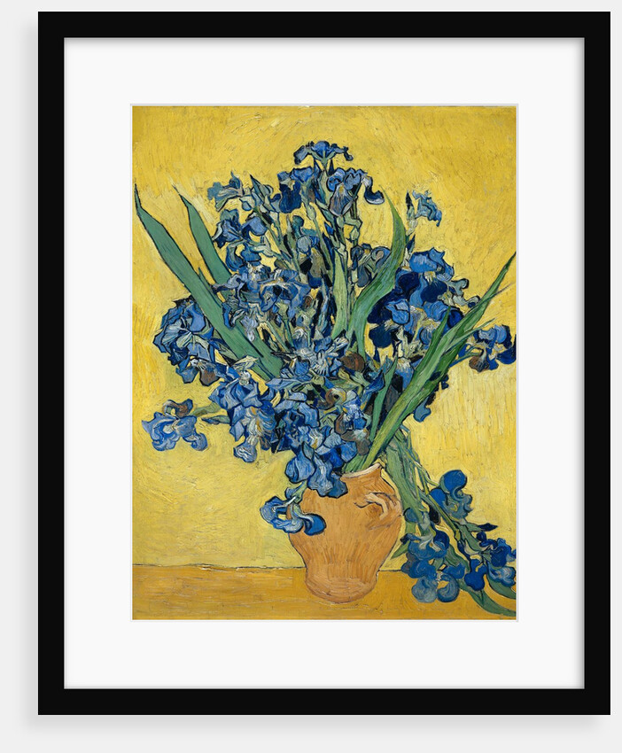 Irises by Vincent Van Gogh