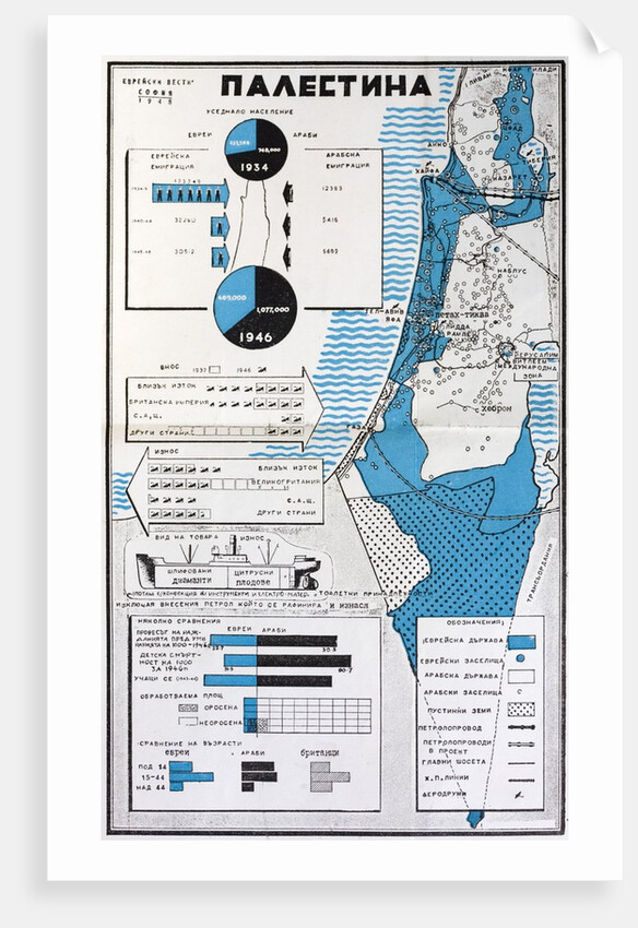 Map of Palestine showing the increase in Jewish population between 1934 and 1956 by Anonymous