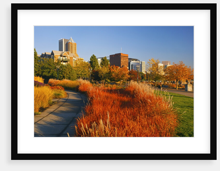 The Garden at South Waterfront Park, Portland Oregon. Pacific Northwest by Anonymous