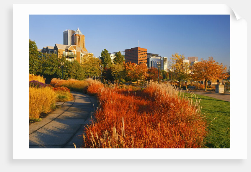 The Garden at South Waterfront Park, Portland Oregon. Pacific Northwest by Anonymous