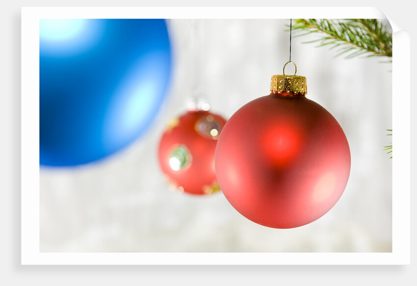 Close-up of hanging red and blue Christmas baubles by Anonymous