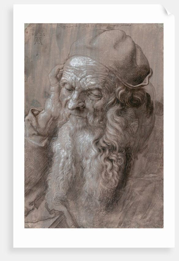 Head of an Old Man by Albrecht Dürer