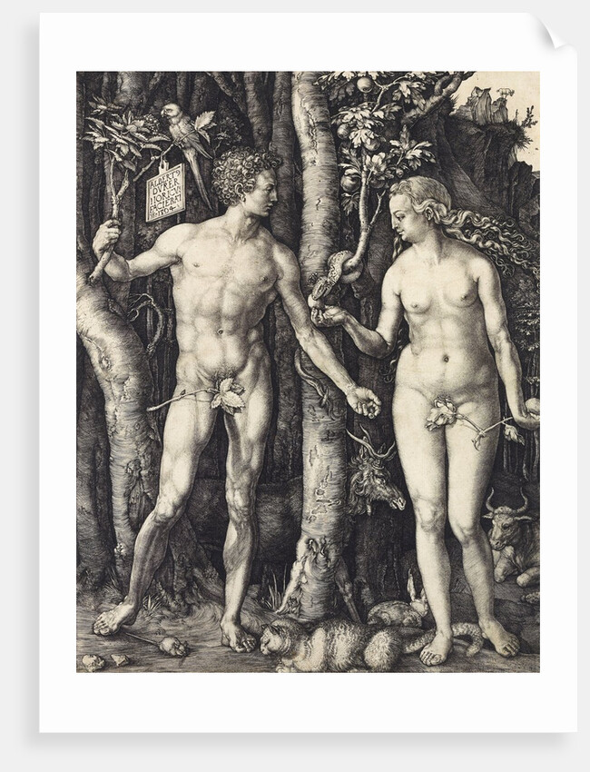 The Fall of Man (Adam and Eve) by Albrecht Dürer