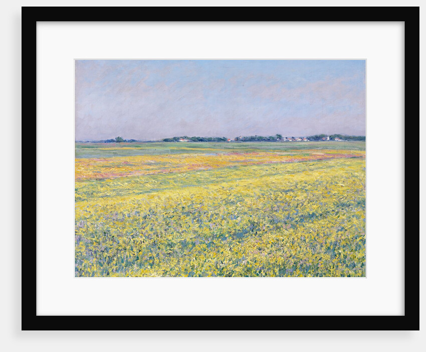 The Plain of Gennevilliers, Yellow Fields by Gustave Caillebotte