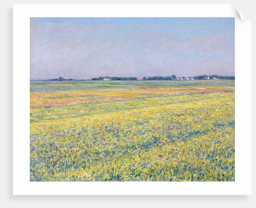 The Plain of Gennevilliers, Yellow Fields by Gustave Caillebotte