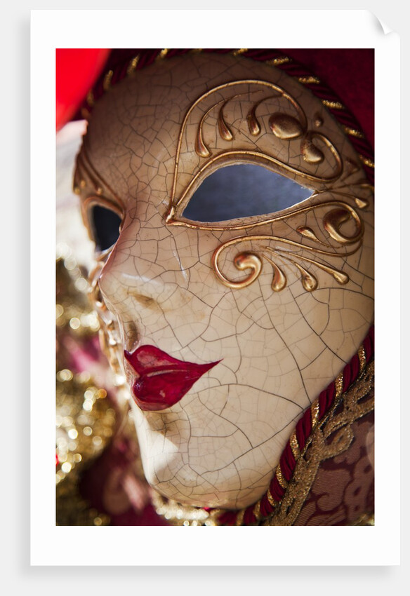 Women's Carnival Mask With Gold Trim by Anonymous
