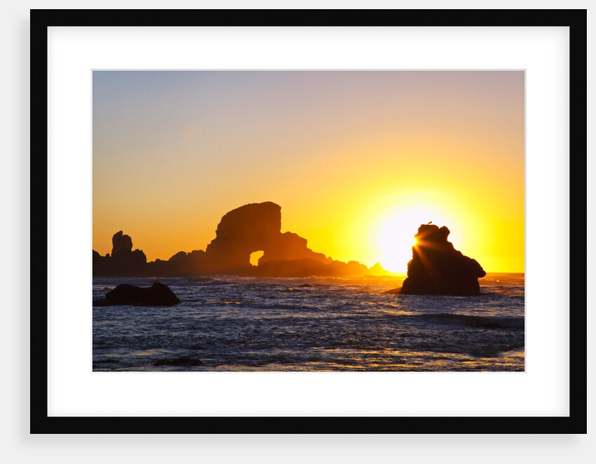 Sunset along Arch Rock, Ecola State Park, Oregon Coast, Pacific Northwest, United States by Anonymous