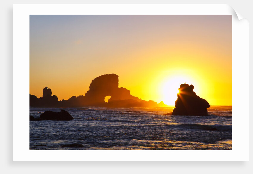 Sunset along Arch Rock, Ecola State Park, Oregon Coast, Pacific Northwest, United States by Anonymous